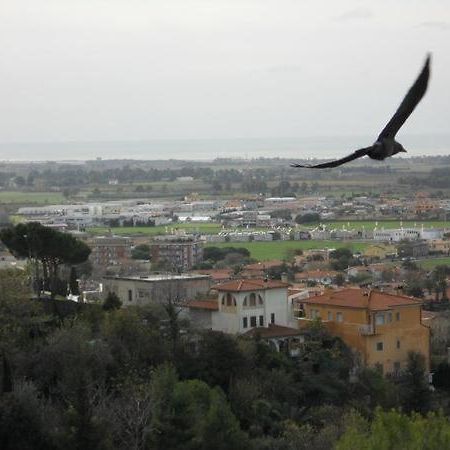 Al Castello Bed & Breakfast Tarquinia Exterior photo